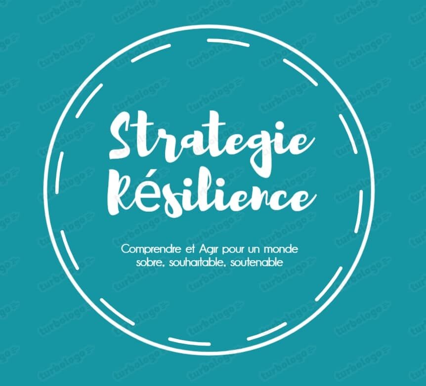 Stratégie : résilience et adaptation